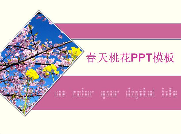 春天桃花PPT模板,PPT模板,素材免费下载插图