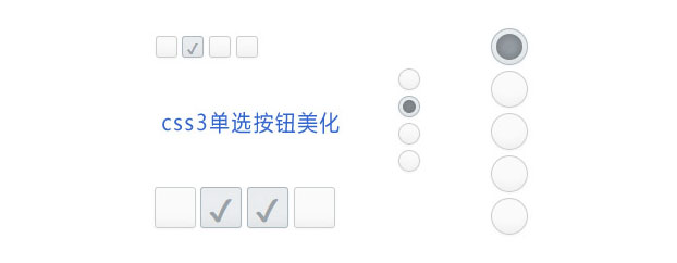 好看的CSS3单选复选按钮美化样式插图