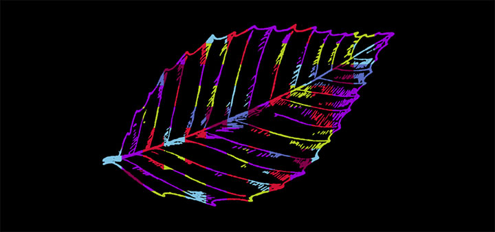 CSS3 SVG彩色叶子发光变色动画特效插图